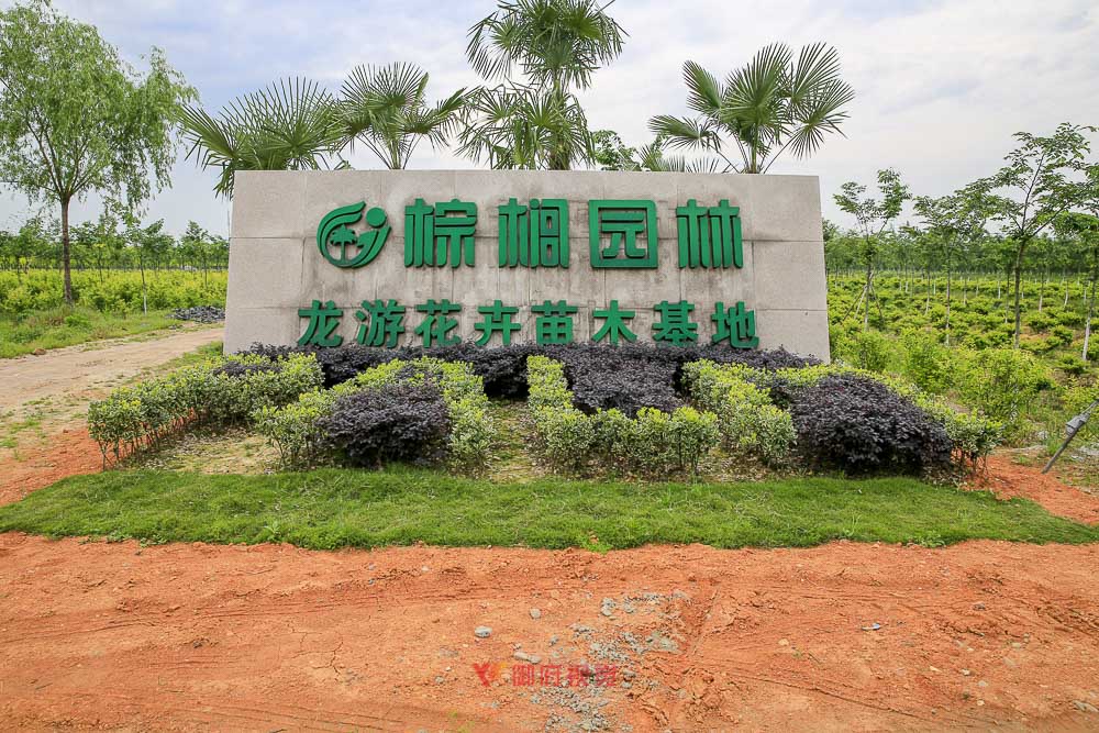 园林景观摄影