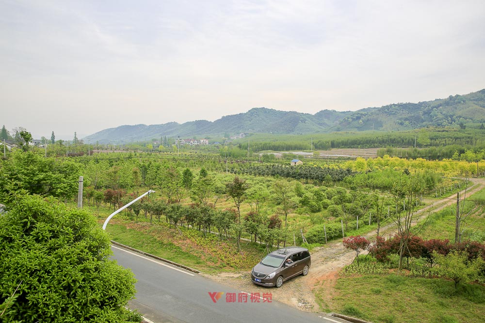 湖州园林景观拍摄
