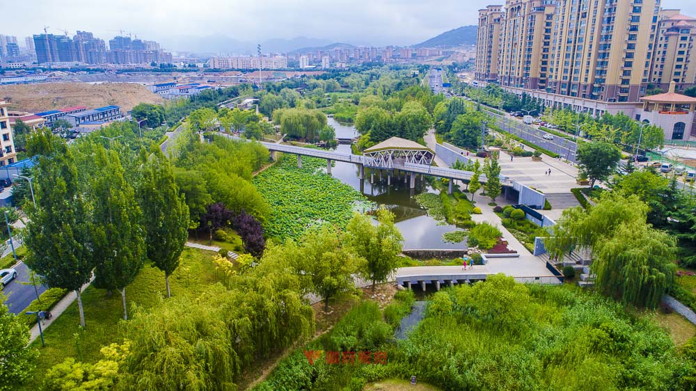 青岛景观园林摄影