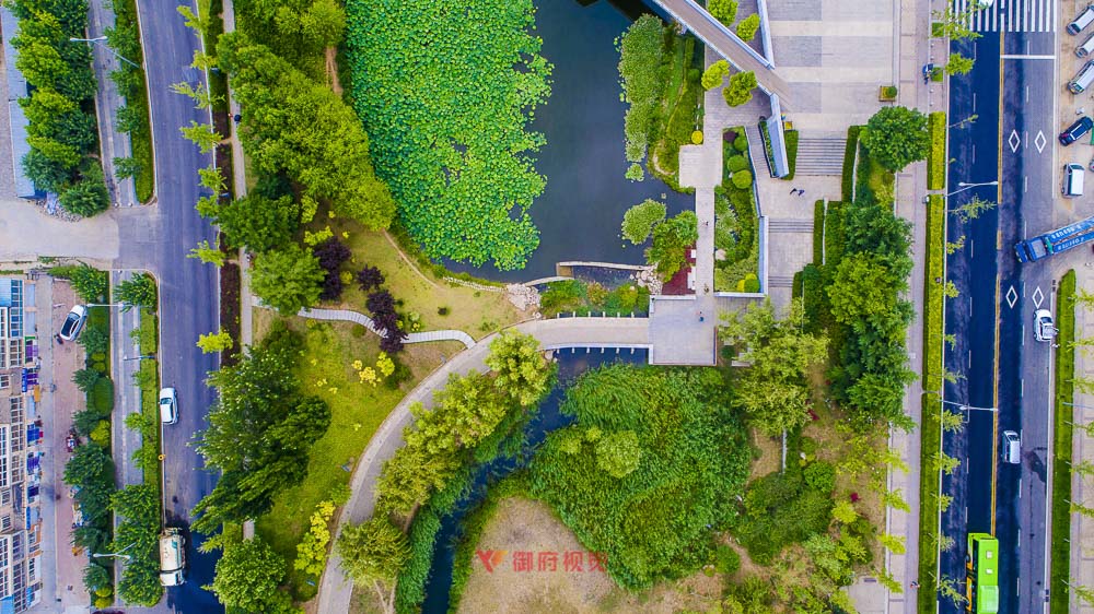 青岛景观园林摄影