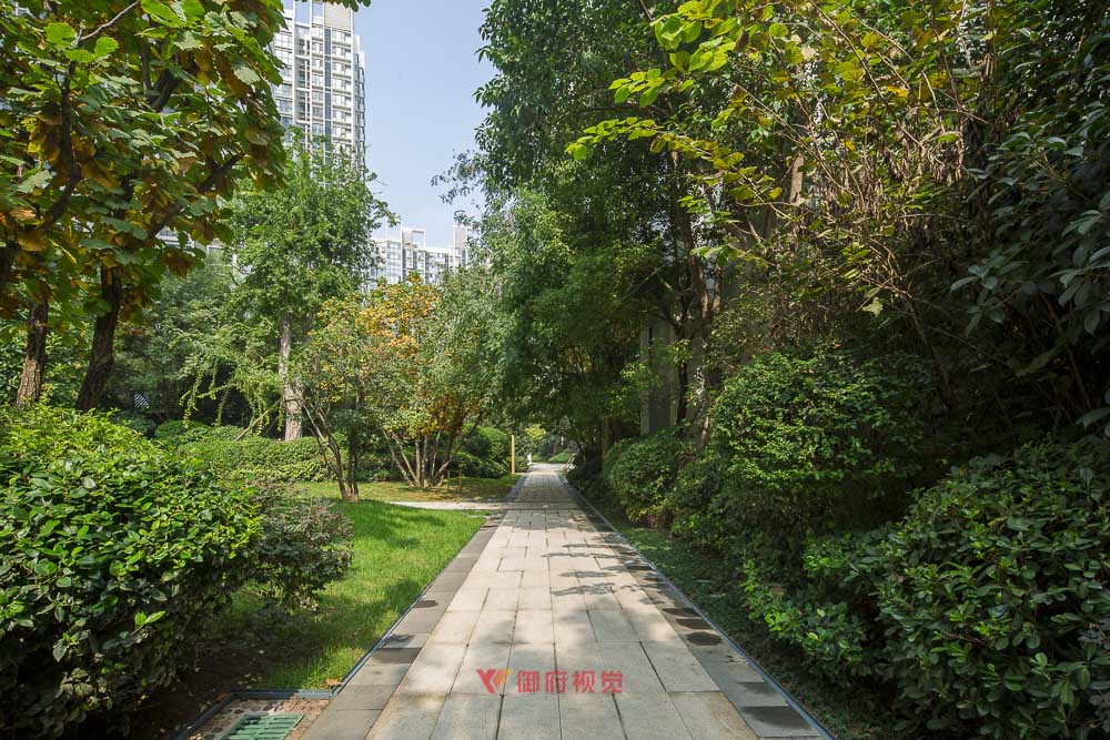景观园林摄影
