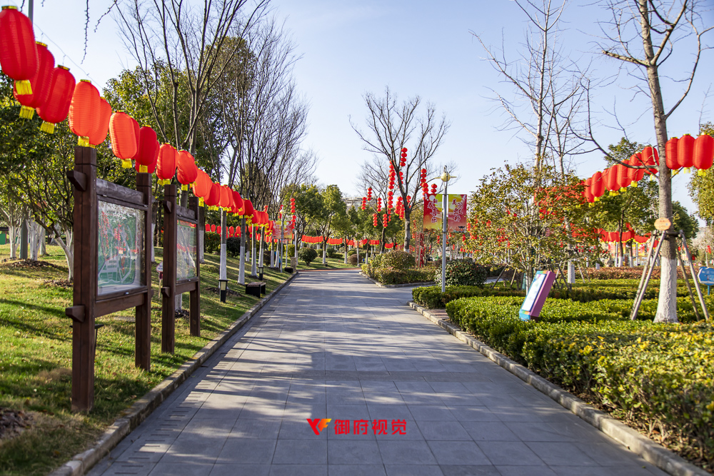 闵行,公园,文旅,景观园林摄影