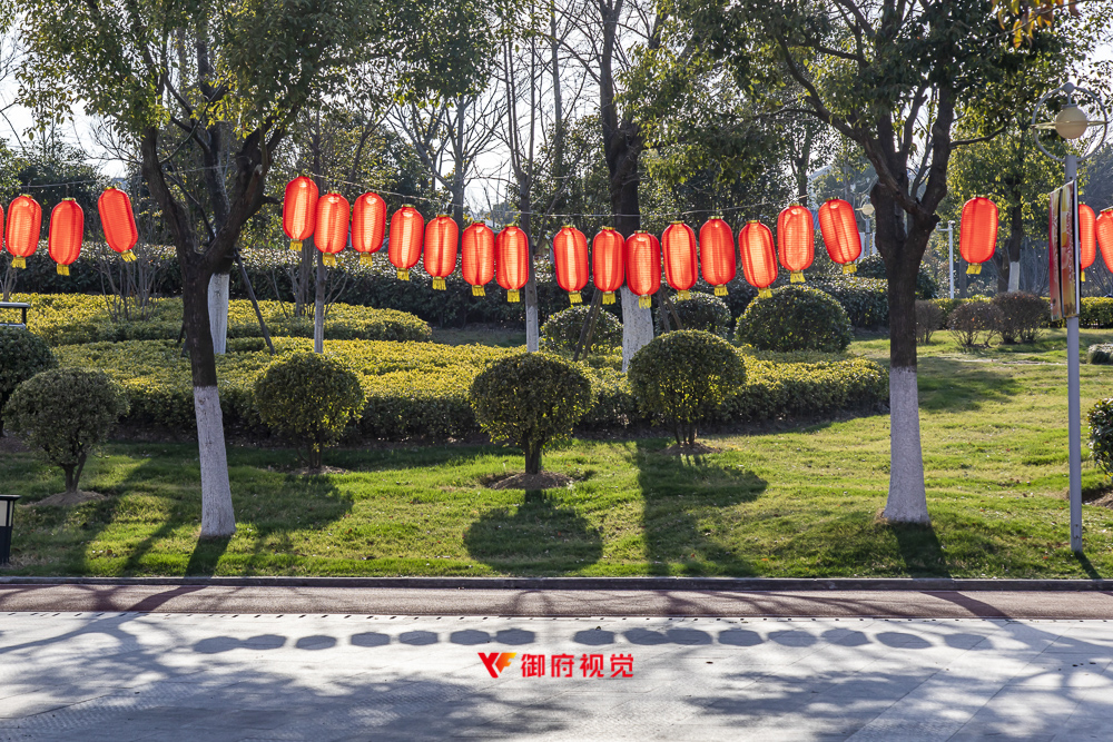 闵行,公园,文旅,景观园林摄影