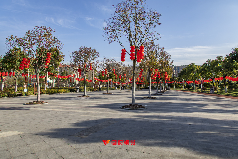 闵行,公园,文旅,景观园林摄影