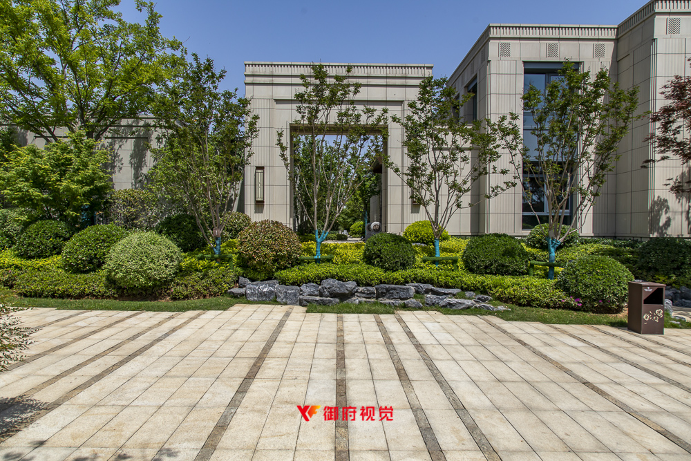 洛阳,玫瑰园,园林景观摄影