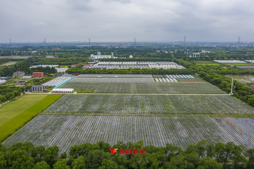 上海,现代农业,采摘园,航拍摄影广告